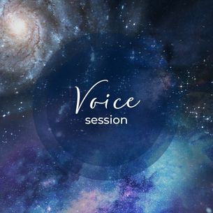 Voice session